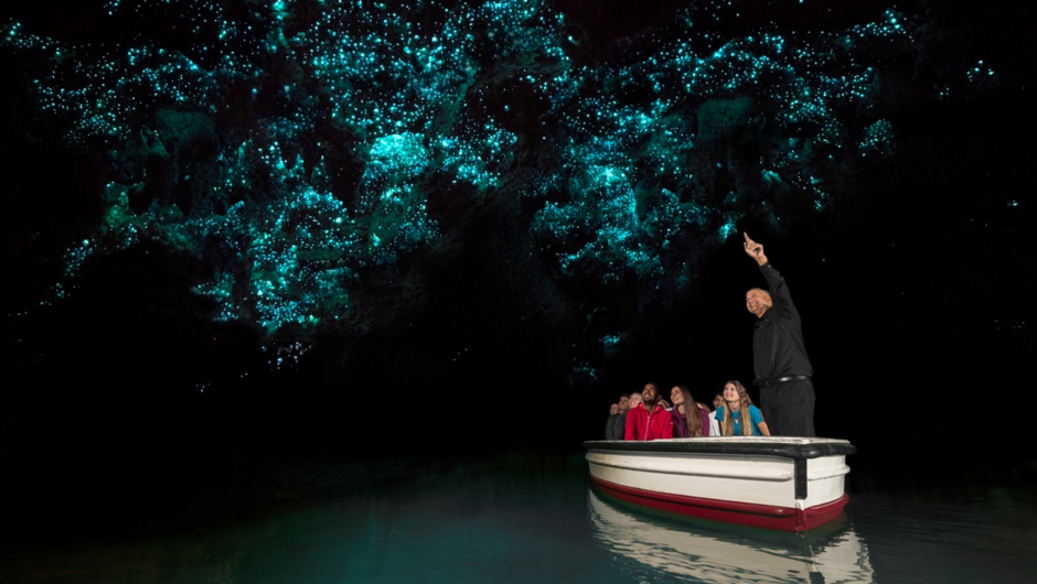 Waitomo Glowworm Caves