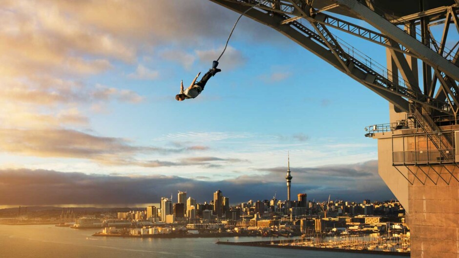 Auckland Bridge Bungy