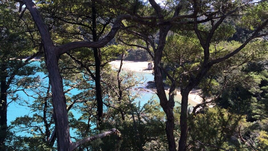 Views from the Abel Tasman Walkway