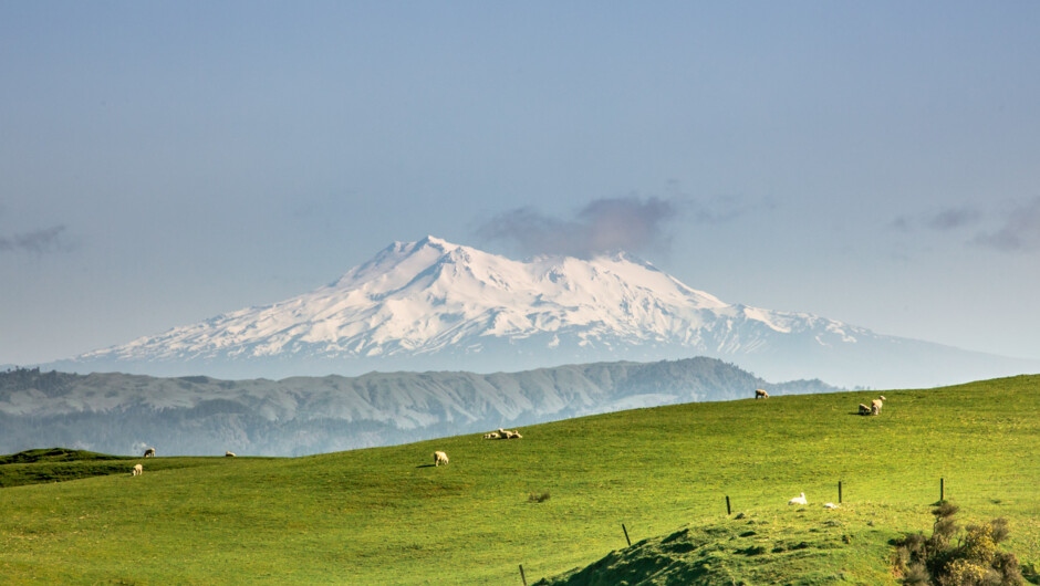 Mt Ruapehu