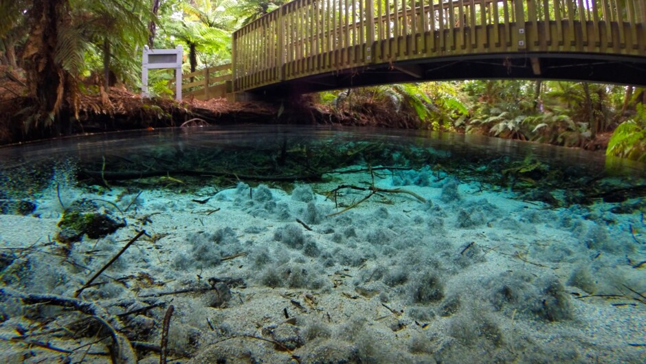 Kauenui, the 'dancing sands' only found at Hamurana Springs