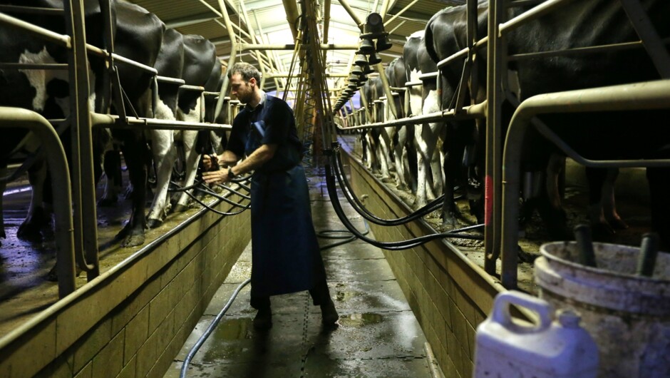 Dairy Farm Tour, Cambridge