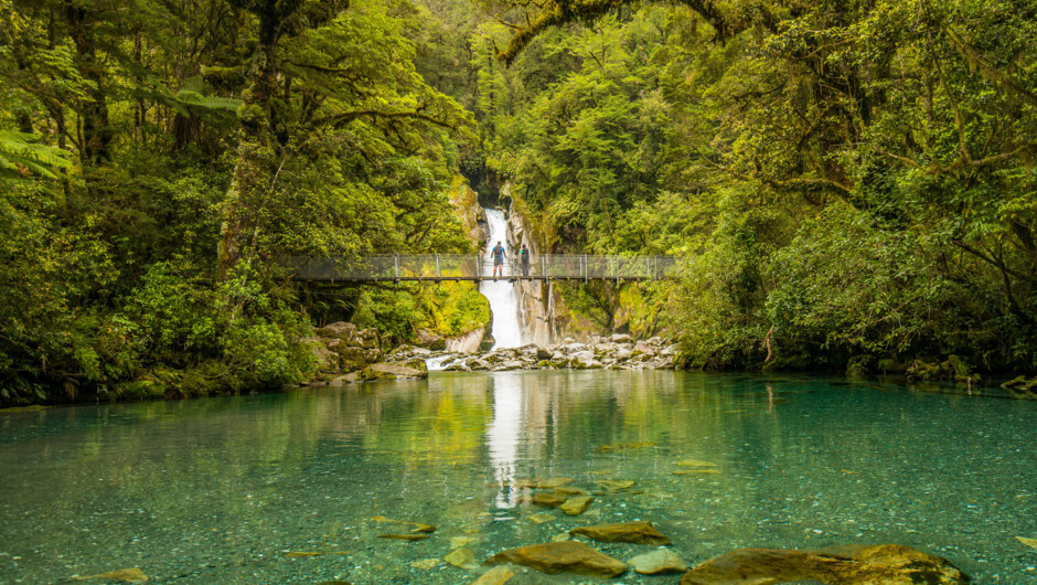 Giants Gate - Milford Track Guided Walk