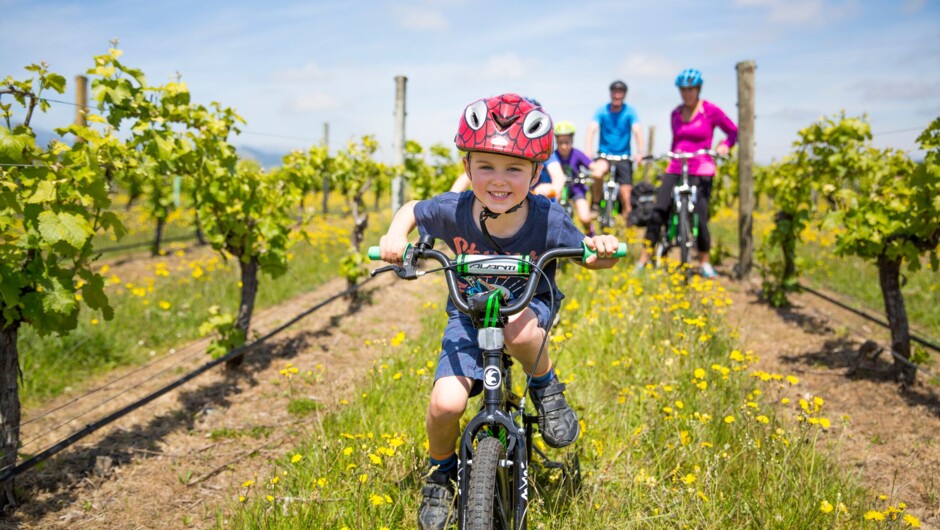 Bikes for all ages