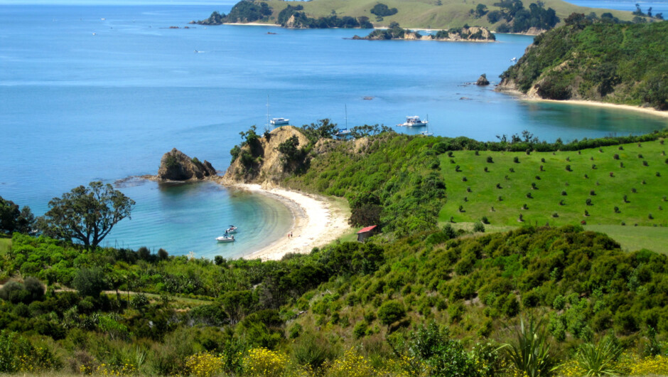 Rotoroa: Predator free Island Sanctuary