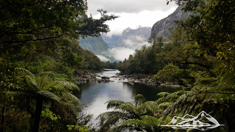 Hidden beauty in Fiordland