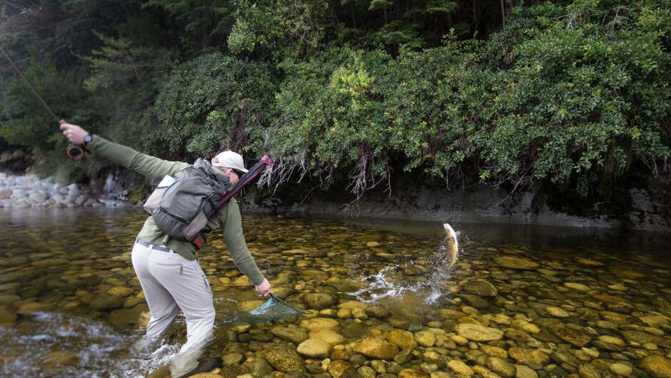 Back Country fly fishing South Island New Zealnd Stunning South Island River Fiordland - Te Anau - South Island New Zealand