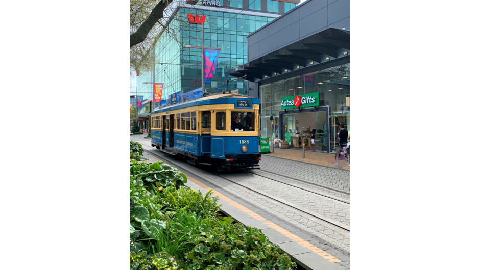 Christchurch Tram
基督城有轨电车经过Aotea Gifts基督城店