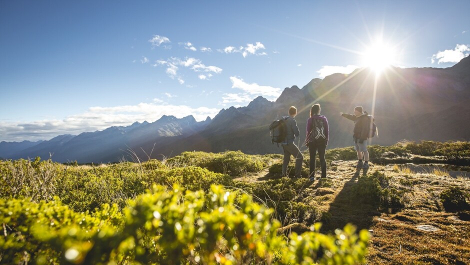 Explore the Routeburn Track on a sunny afternoon